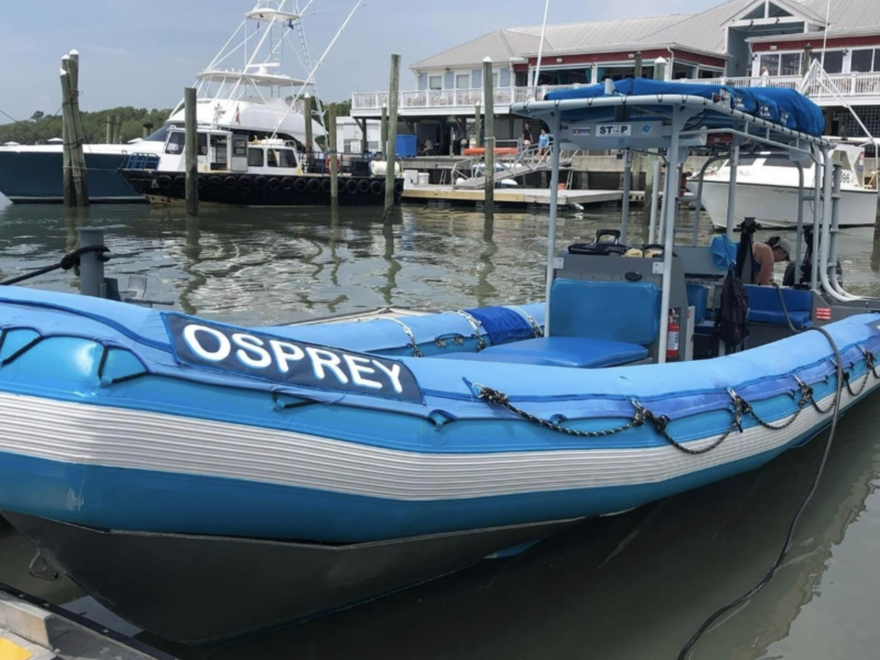 dolphin tours in murrells inlet